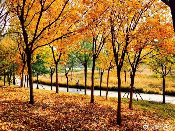 天津一日游必去的十个景点介绍,天津旅游必去十大景点1日游攻略