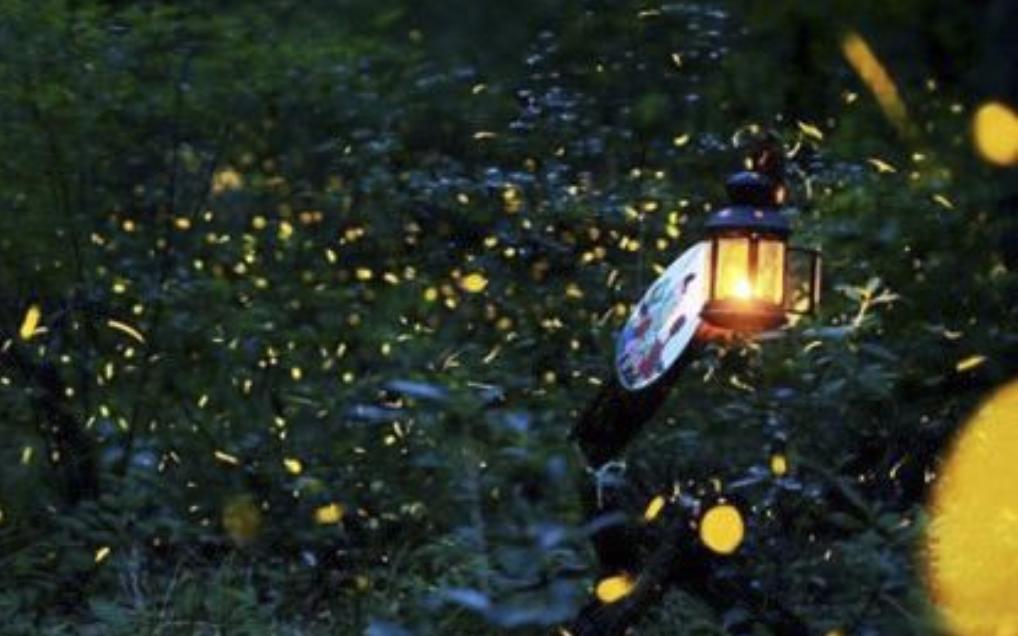 沙巴自由行超详细攻略,第一次去沙巴订的酒店怎么样