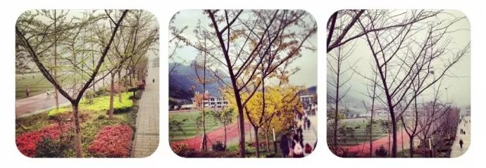 川外成都学院重庆,一个魔幻的佛系女子学院