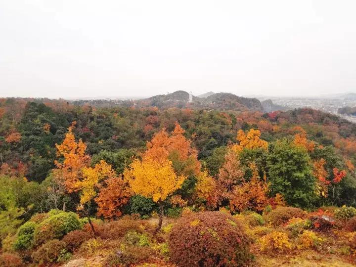 中北部升龙道深度游攻略,日本龙岛旅游攻略