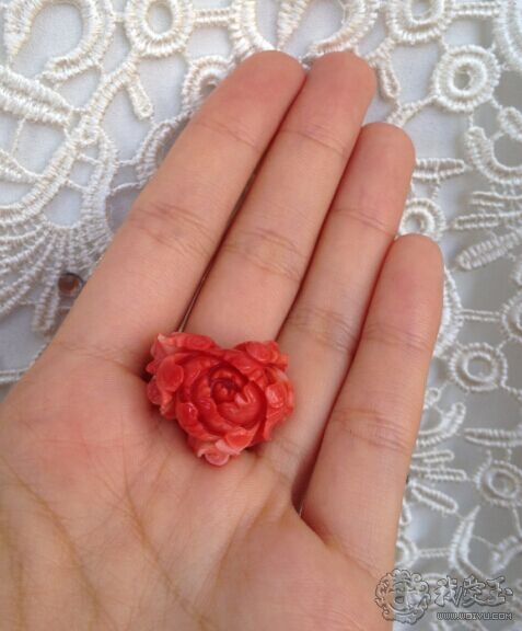 什么样的珊瑚是最好的,最好看的十种珊瑚