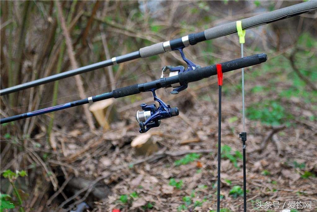 正确挑选出一款好鱼竿的方法,如何选择一根好鱼竿