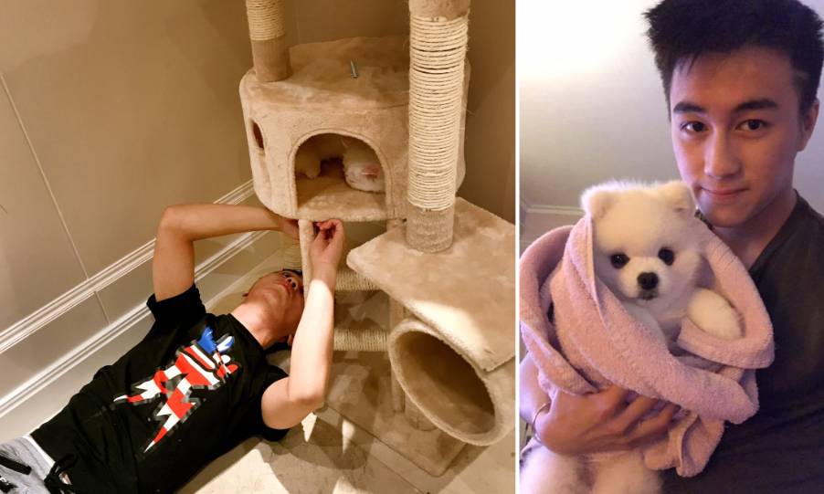 高颜值大学霸+爱玩王者，这样的赌王儿子麻烦请给我来一沓！