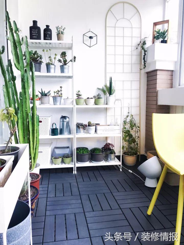 住进宫崎骏漫画小院,住进宫崎骏的童话世界