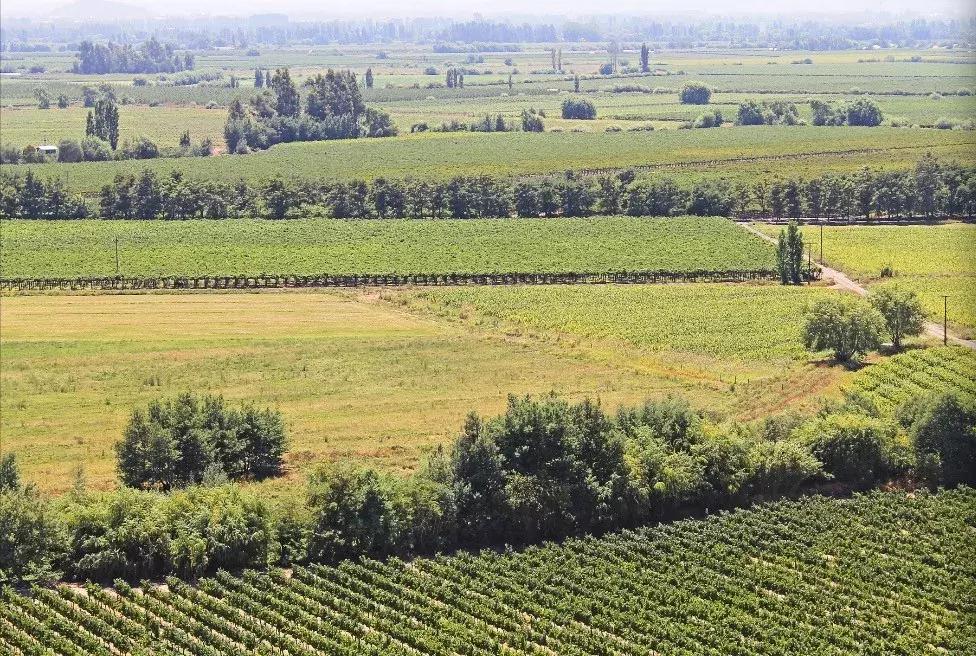 新手怎么挑选适合自己的红酒,新手入门怎么挑选红酒