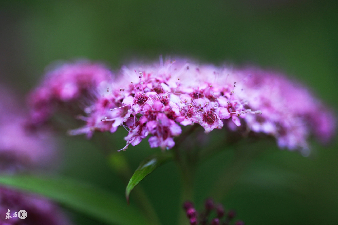 摄影师拍照片怎么挣钱,专业摄影师如何拍摄图片