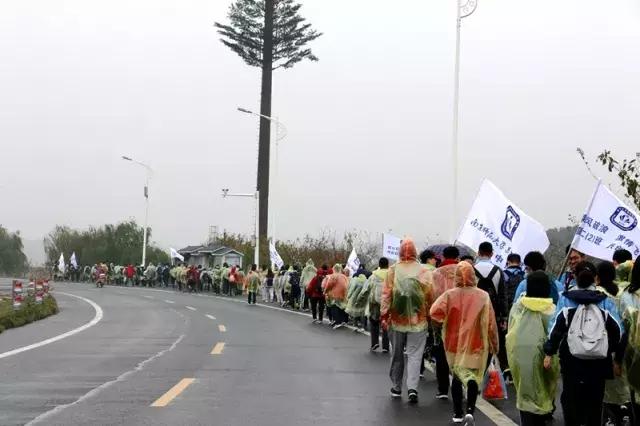 青春在这里绽放作文800字,青春在这里激昂