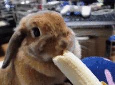 微生物多样性取样方法总结