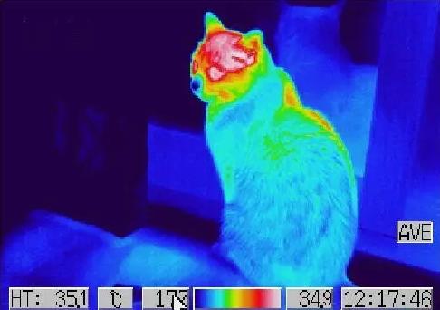 手机怎么检测针孔摄像头,怎么检测针孔摄像头