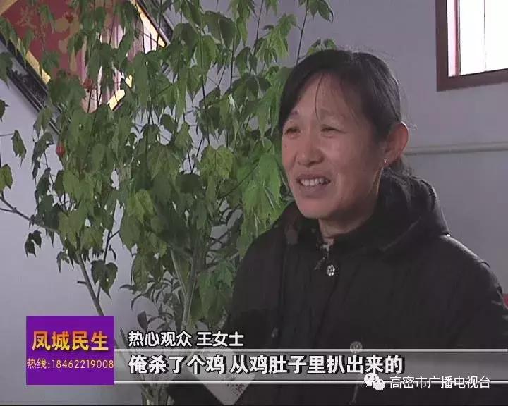 奇事｜一高密人在鸡肚子里发现个怪东西，快来看看你认不认识！