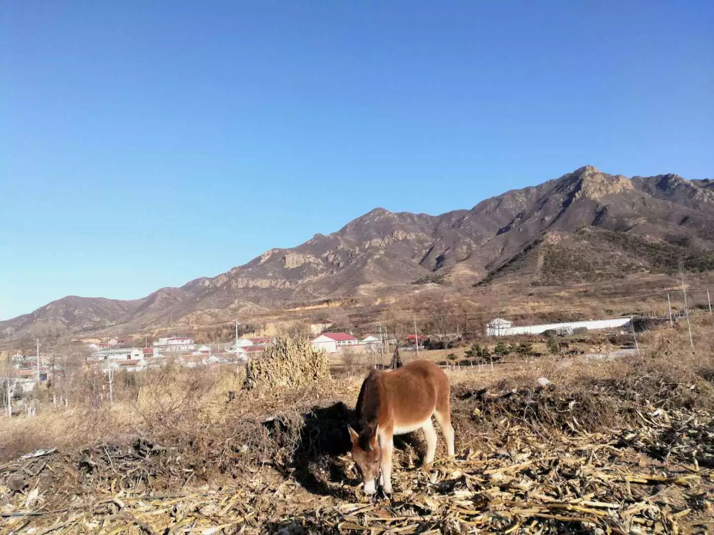 柳沟豆腐宴几个人最划算,柳沟豆腐宴几号最好吃