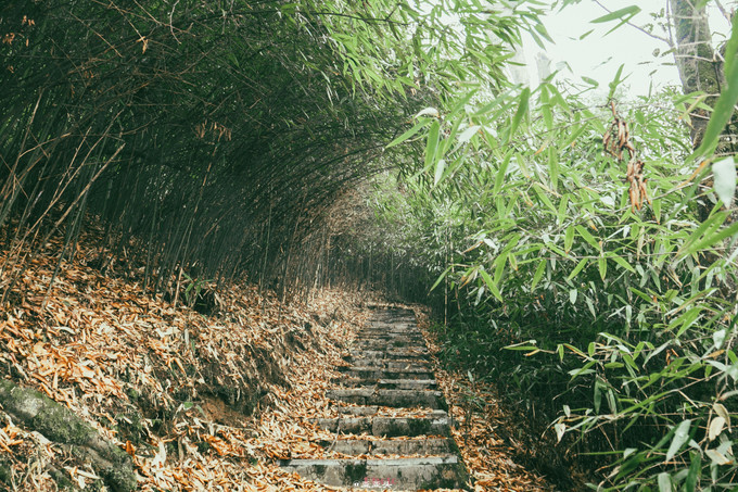 贵州绥阳旅游十大景点排名,贵州绥阳县景区有哪些