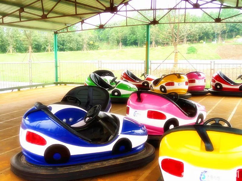 亲子推荐│蝶梦山丘—让蝶入梦、与蝶共舞