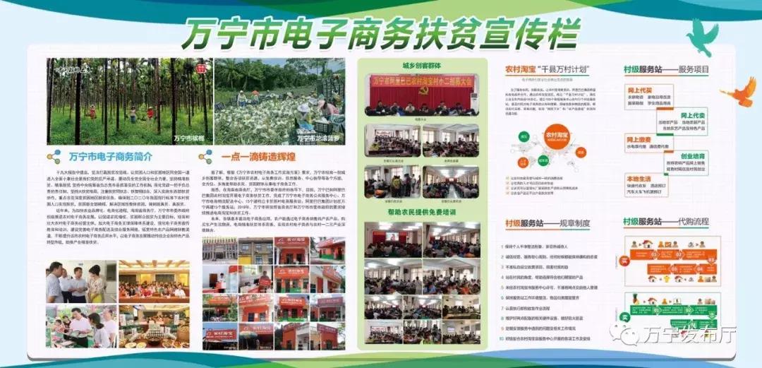海南贫困村电商培育,万宁市电商