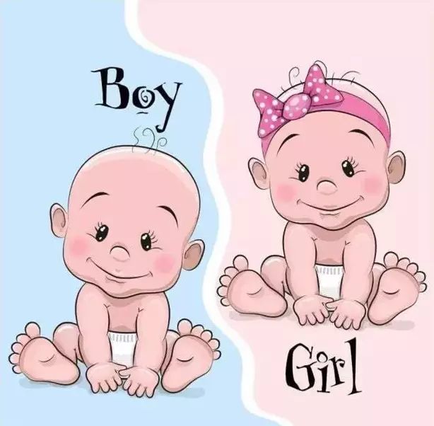 男孩与女孩的大脑结构差别,男孩女孩的大脑差异图