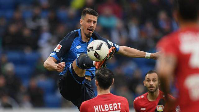 出走半生归来仍是少年全诗,出走半生归来仍是少年程前