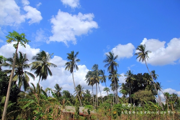 坦桑尼亚最富裕的地区,坦桑尼亚发展经济有利条件
