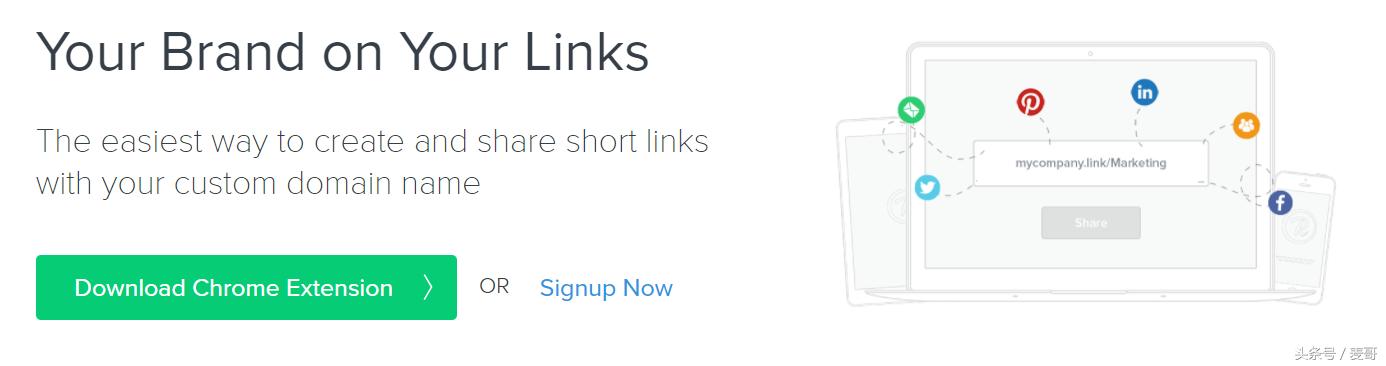 域名可以随便命名,域名可以免费建站吗