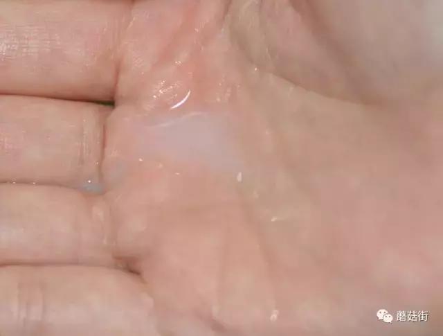 十大好用护肤水,十大公认最好的护肤水