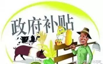 全国农业发展十大机遇,中国农业十大进展