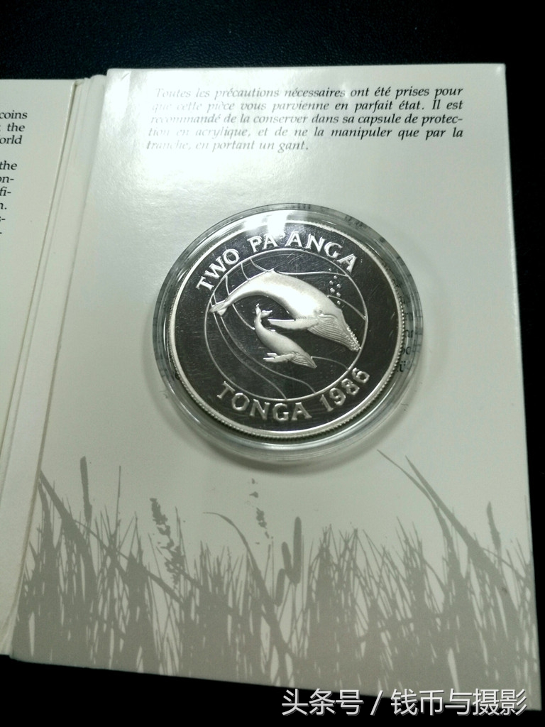 汤加的珍惜鲸鱼银币