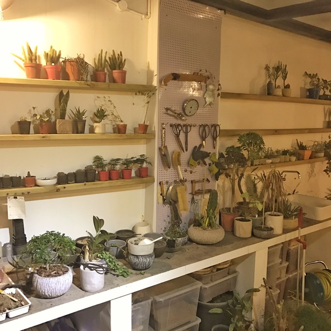 游记成都市内2日行,成都三日吃住行详细攻略