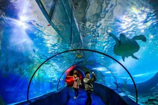 武汉今天地铁最新信息,武汉最新地铁消息