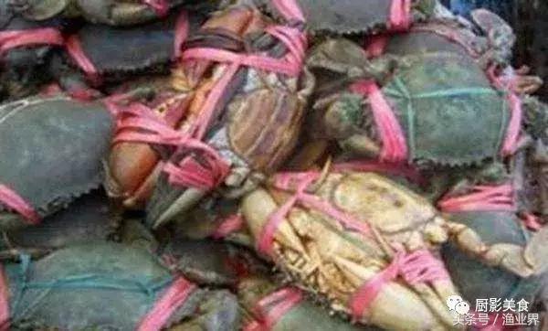 中国的螃蟹,螃蟹大赏的图片