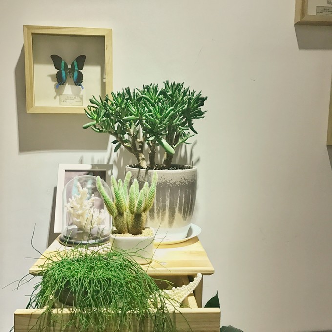 游记成都市内2日行,成都三日吃住行详细攻略