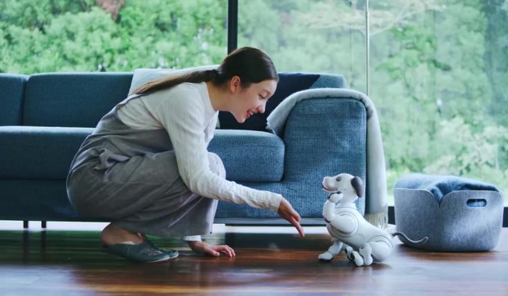 最灵活的机器人robot,几款智能机器人