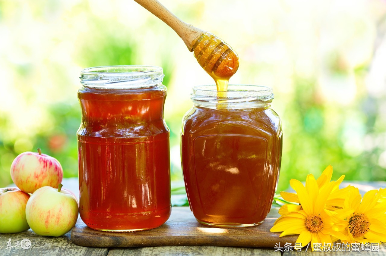 养蜂基础知识全集,养蜂一定要学会几个小技巧