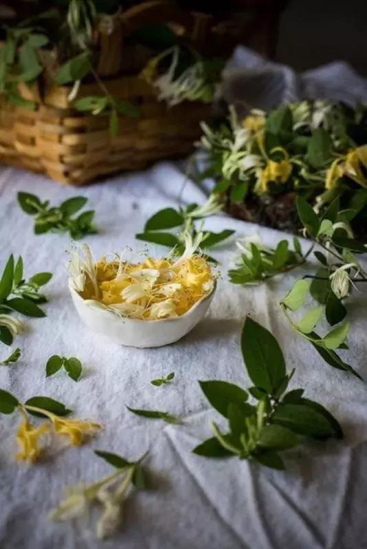 每天一杯，百毒不侵！（冬天防病，别忘了它们）