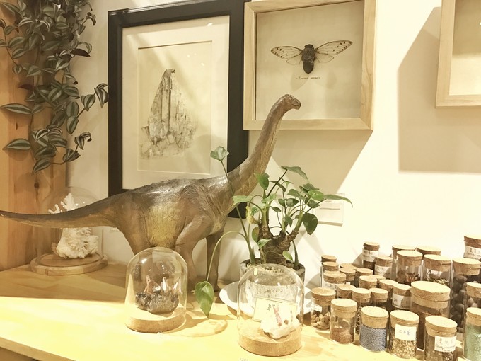 游记成都市内2日行,成都三日吃住行详细攻略