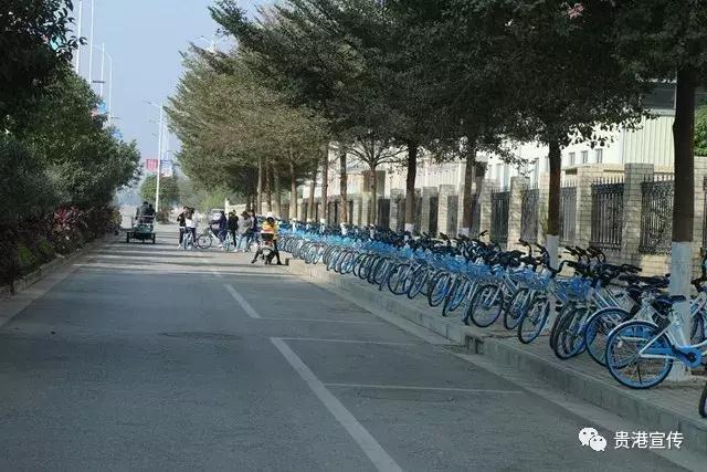 广西贵港有共享单车,贵港的共享单车怎么用