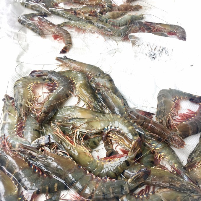 一个人越南攻略,一个人越南自驾游纪录片