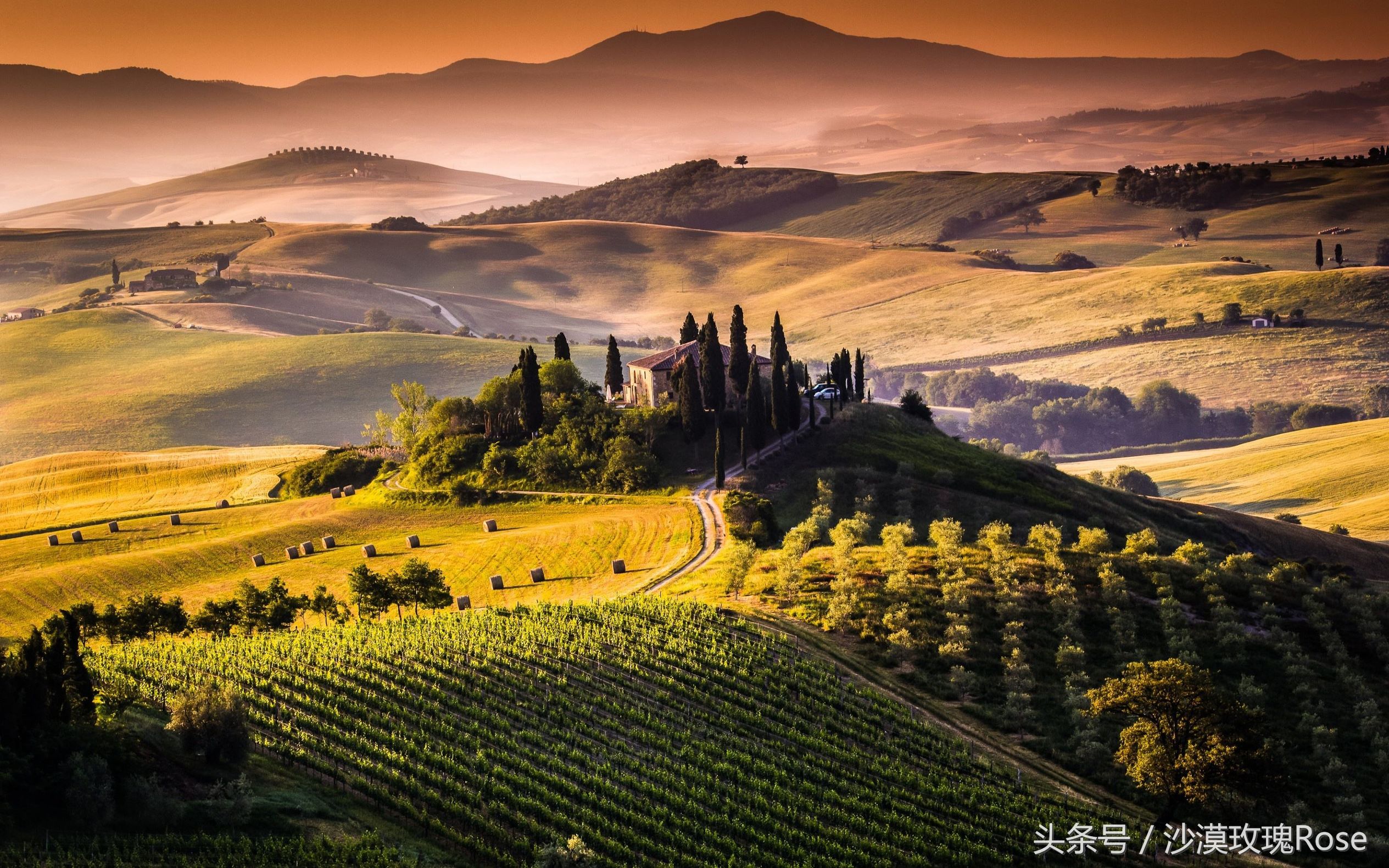 中国人在意大利不能直接租车?老司机带你玩转自驾游