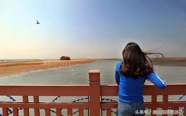 滑雪温泉开启冬游之旅,滑雪温泉美食