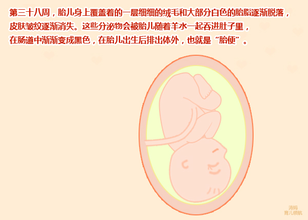 孕妇已经足月了小孩不发动怎么办,怀孕10个月还没生正常吗