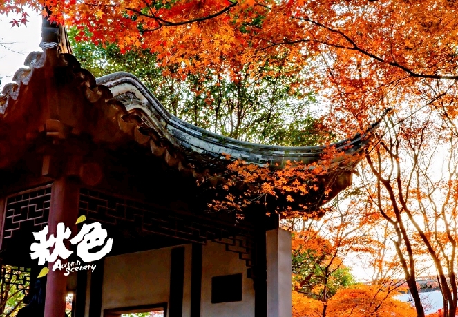 睡不着看看这几句话句句入心,当你晚上睡不着时打开看看