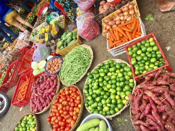 一个人越南攻略,一个人越南自驾游纪录片