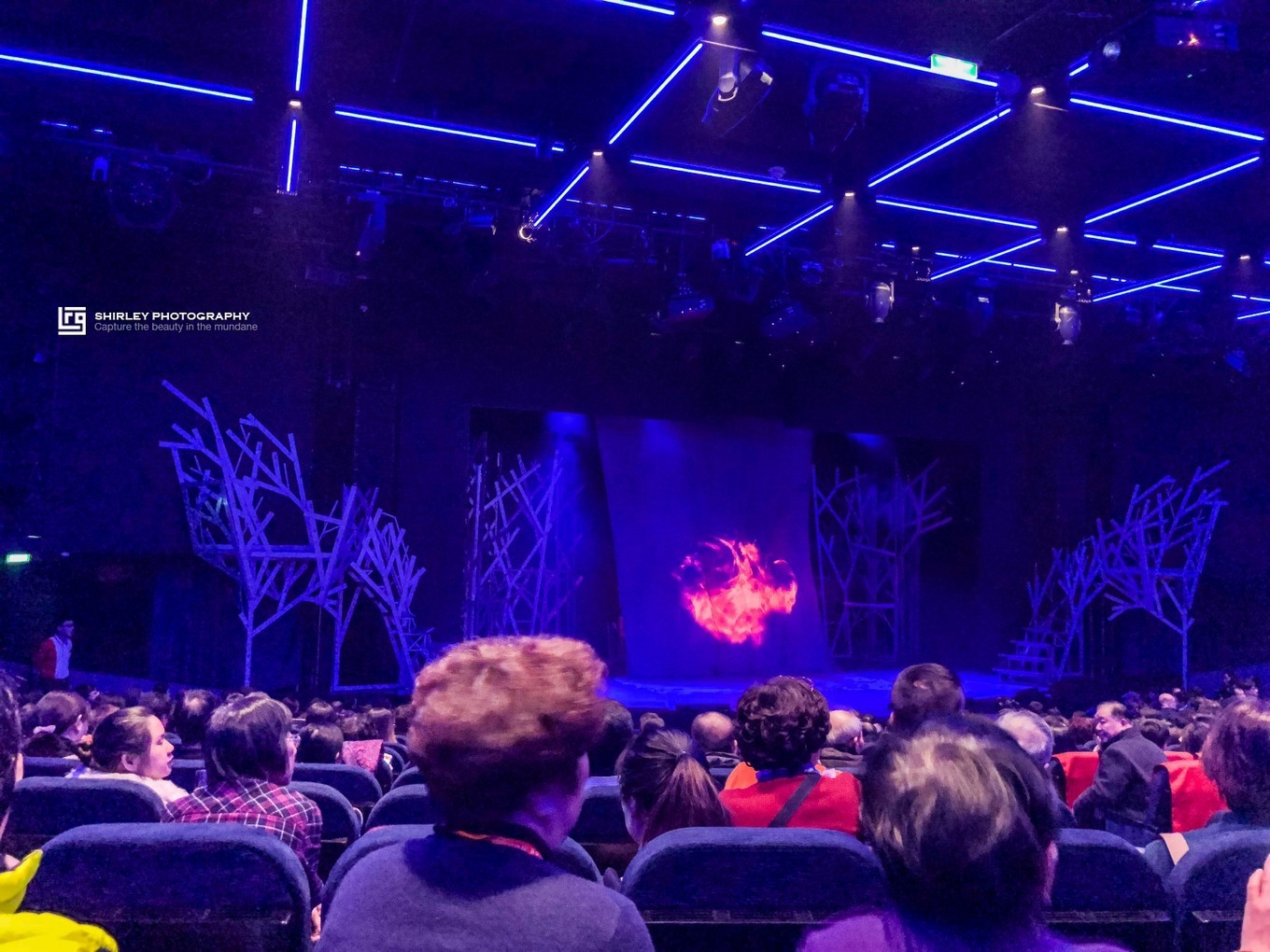 亚洲最大邮轮诺唯真喜悦号亮相,邮轮日本游诺唯真喜悦号