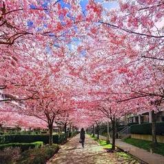 原创小短文写作技巧,原创短文治愈