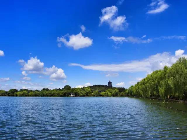 我叫杭州,这是我最新的简历,请多关照~