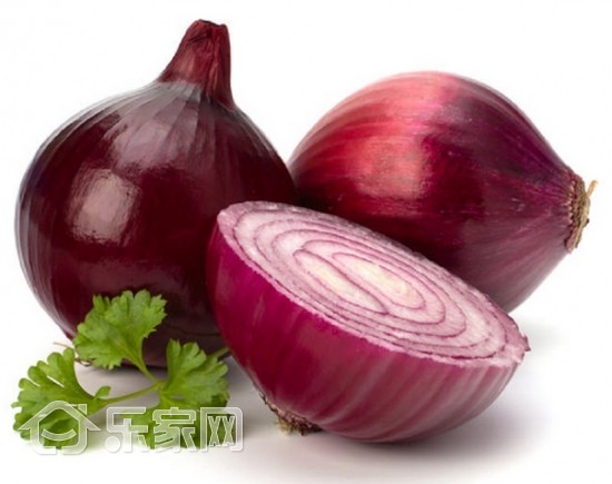 不可思议的冰箱,冰箱真的能养鱼吗