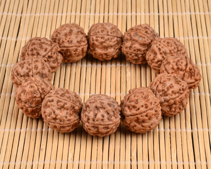 金刚菩提有几种品种图片,金刚菩提顶级品种