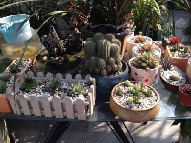 她，用旅行，战胜了癌症。