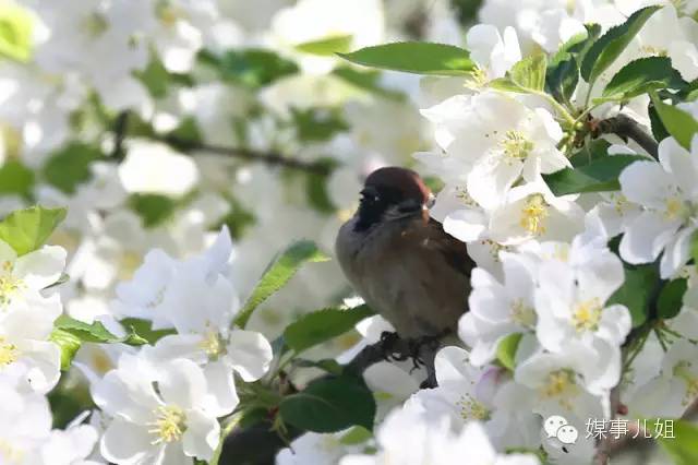 包钢三中真的要改名吗,包钢三中整体成绩怎么样