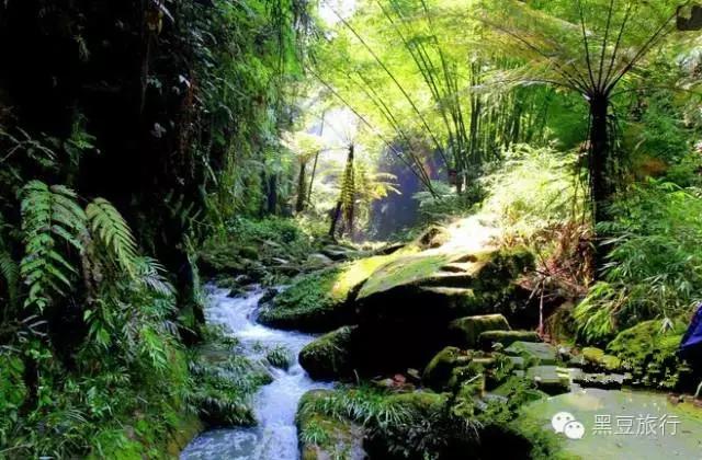 今年五一不出门宅在家里,五一不宅家悦游好时节