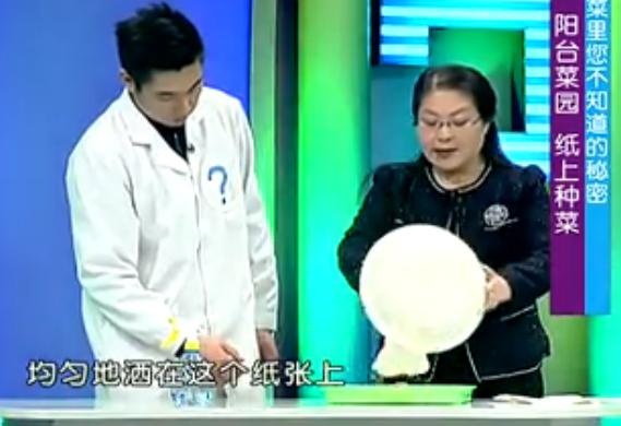 出来的五个种菜实用小技巧,纸上种菜可以种向日葵吗