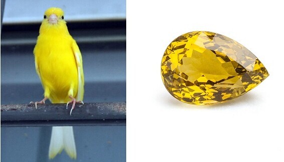 红蓝绿哪个颜色清晰,红蓝绿翡翠哪个价值最高